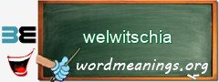 WordMeaning blackboard for welwitschia